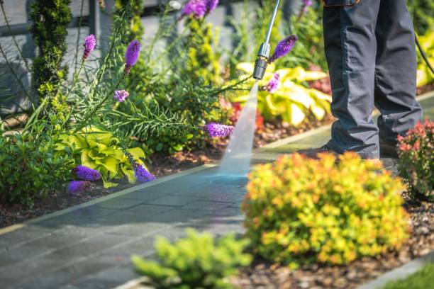 Best Pre-Holiday Cleaning  in Wurtsboro, NY